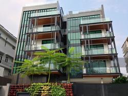 7 on Chapel (D15), Apartment #125661542